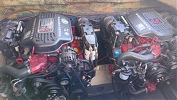 IMG_20261009_152541.jpg