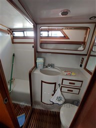 WhatsApp Image 2022-11-03 at 09.13.55.jpeg