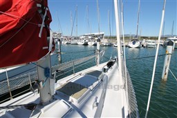IMG_3528