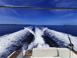 WhatsApp Image 2023-07-31 at 12.12.35.jpeg