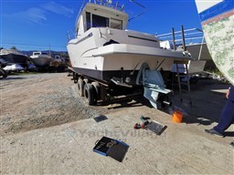 WhatsApp Image 2023-07-31 at 12.12.35 (2).jpeg