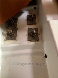 WhatsApp Image 2024-10-09 at 12.05.38.jpeg