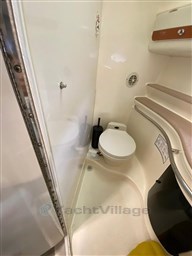 WhatsApp Image 2024-11-06 at 10.59.12.jpeg