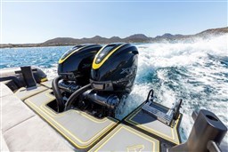 WhatsApp Image 2026-02-10 at 15.22.11 (5)