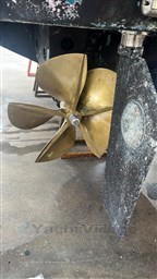 WhatsApp Image 2024-12-11 at 11.51.58 (1)