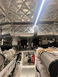 PHOTO-2024-07-01-11-35-59 2.jpg