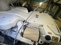 IMG_2891.jpg