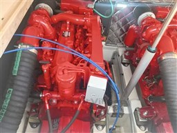 PHOTO-2025-02-08-18-47-30_3