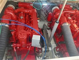 PHOTO-2025-02-08-18-47-31_1