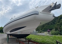 PHOTO-2026-01-12-11-10-36_1