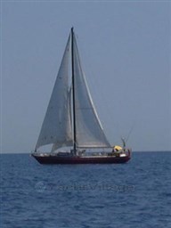 fragola a vela.JPG