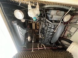 IMG_6027.jpg