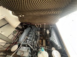 IMG_6032 2.jpg
