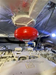 IMG_3383.jpg