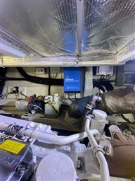 IMG_3385.jpg