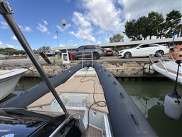 IMG_7647.jpeg