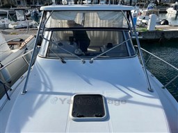 IMG_3650.jpg