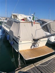 IMG_8325.jpg