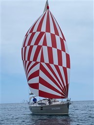 IMG_7967.jpeg