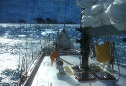 PHOTO-2024-06-24-18-23-32 2.jpg