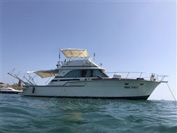 IMG_3807.jpeg