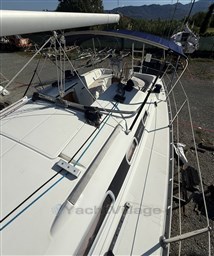 IMG_8477.jpeg