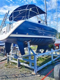 IMG_8487.jpeg