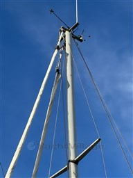 IMG_8451.jpeg