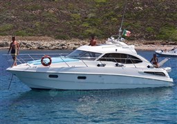 PHOTO-2024-11-09-22-11-40_1