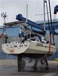 IMG_9943.jpeg