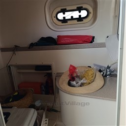 PHOTO-2026-02-05-11-17-36 3.jpg