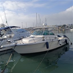 PHOTO-2026-02-05-11-17-38 2.jpg