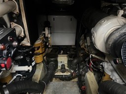 IMG_4485.jpg