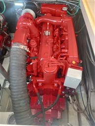 PHOTO-2025-02-08-18-47-31