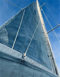 WhatsApp Image 2025-05-26 at 11.25.33 (12).jpeg