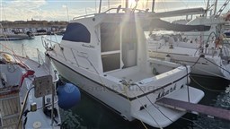 WhatsApp Image 2025-11-21 at 17.22.56.jpeg