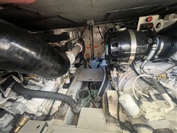IMG_9727.jpeg