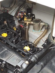 PHOTO-2025-06-17-20-18-56_1