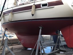 WhatsApp Image 2023-04-29 at 14.57.16 (3).jpeg