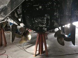 WhatsApp Image 2025-11-14 at 17.00.04 (3).jpeg