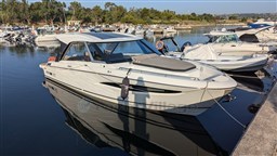 PXL_20240802_053509324.jpg