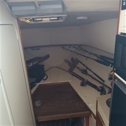 PHOTO-2026-02-05-11-17-37 2.jpg