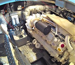 PHOTO-2026-02-10-19-24-30_7