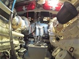 PHOTO-2026-02-10-19-24-30_4