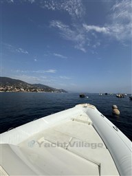 IMG_8349.jpeg