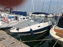 IMG_5394.jpg