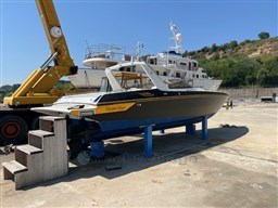 IMG_4739.jpg