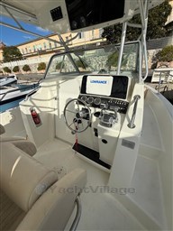 WhatsApp Image 2025-11-18 at 15.25.38 (6).jpeg