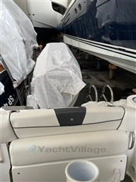 PHOTO-2023-02-03-11-44-32 2.jpg