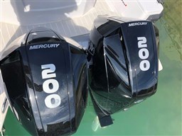 IMG_1519